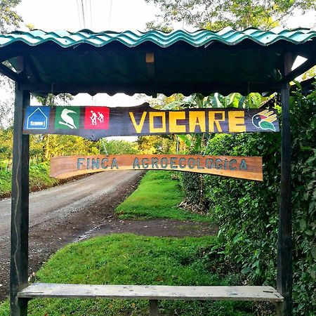 Vocare Finca Agroecologica Upala Kültér fotó