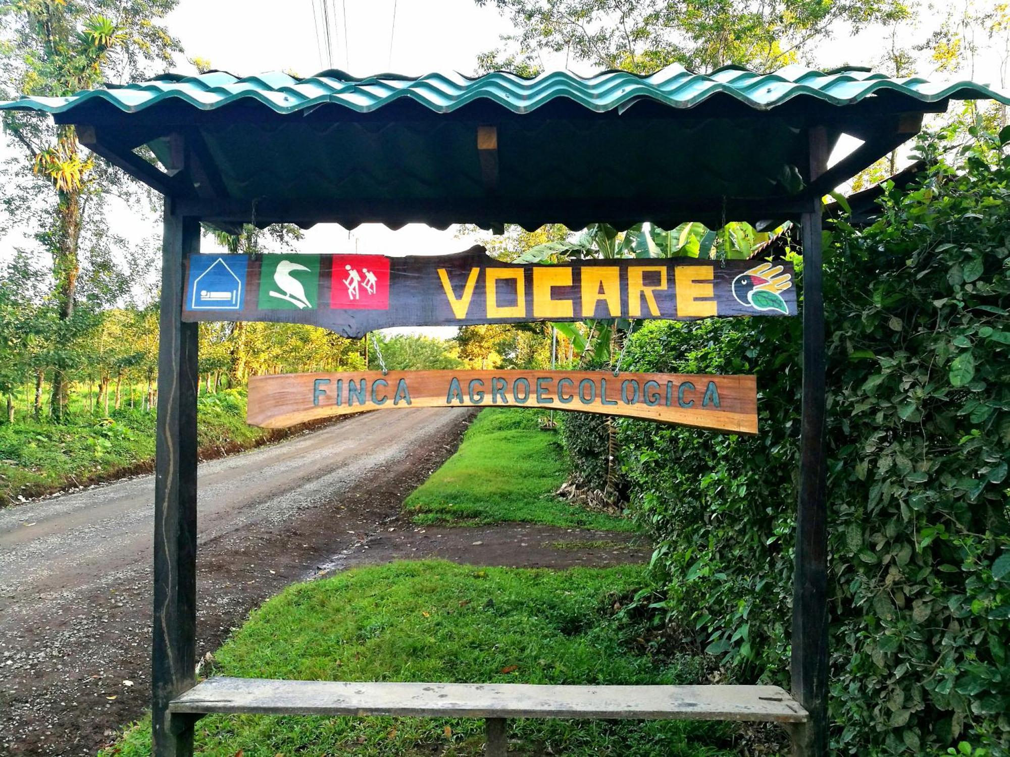 Vocare Finca Agroecologica Upala Kültér fotó
