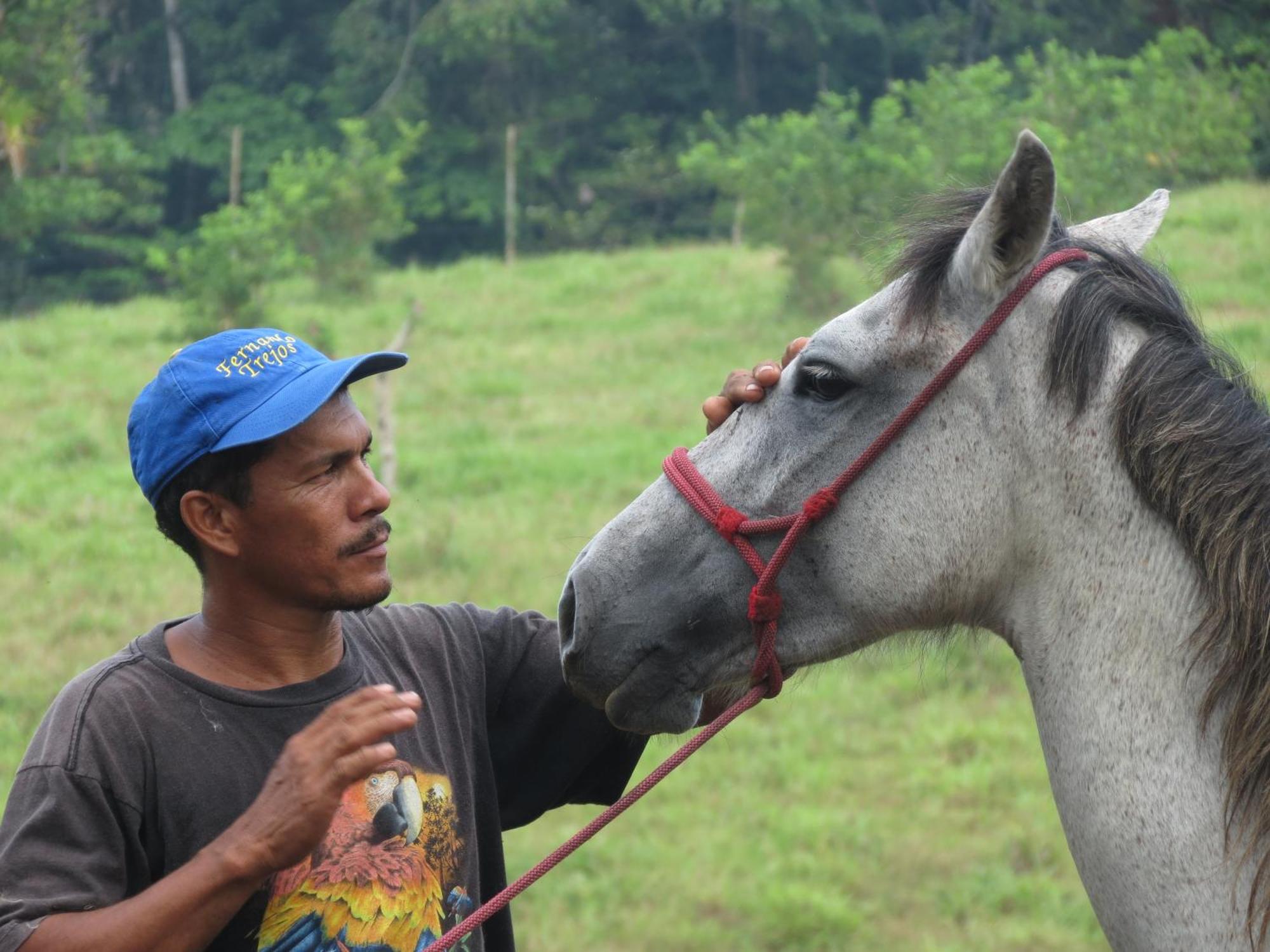 Vocare Finca Agroecologica Upala Kültér fotó