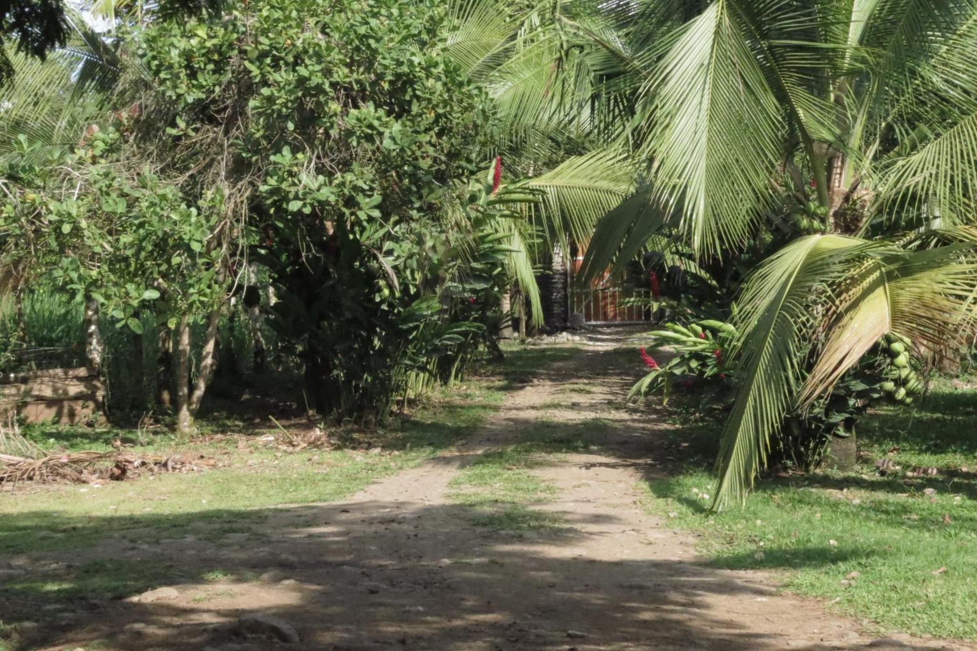 Vocare Finca Agroecologica Upala Kültér fotó